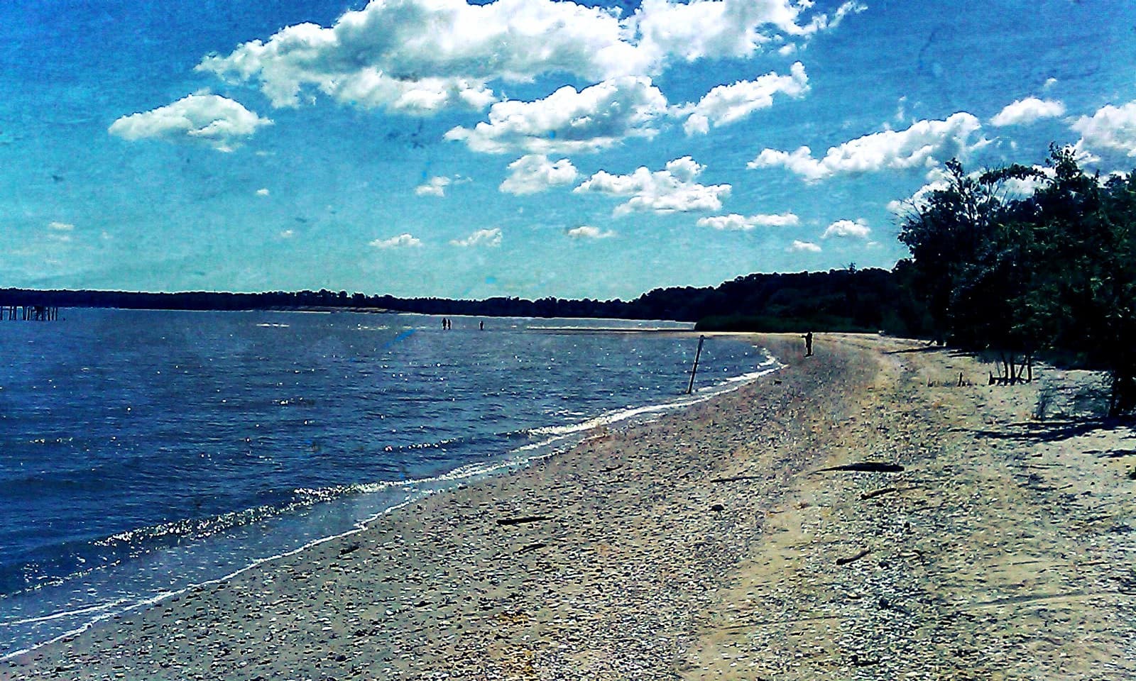 The sandy shoreline of the James River at Chippokes State Park, Surry County, Virginia
