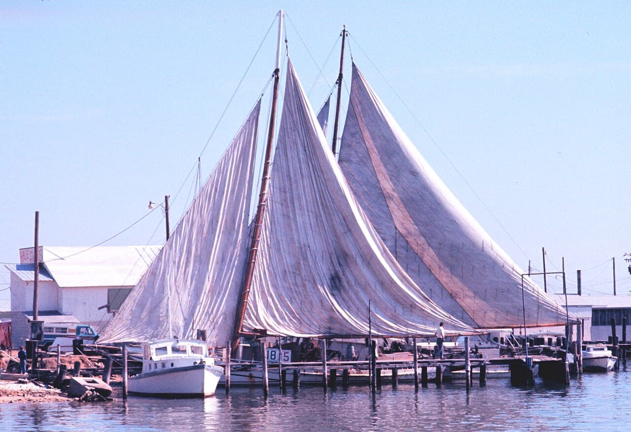 Chesapeake Bay skipjacks, traditional sail-powered oyster-dredging boats, drying their sails in port