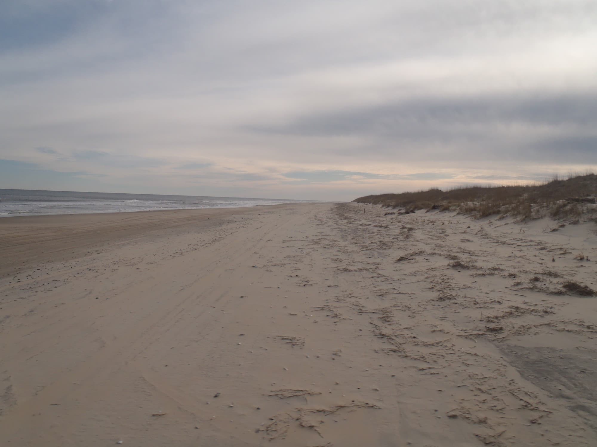 A wide, undeveloped sandy beach and dune line at False Cape State Park