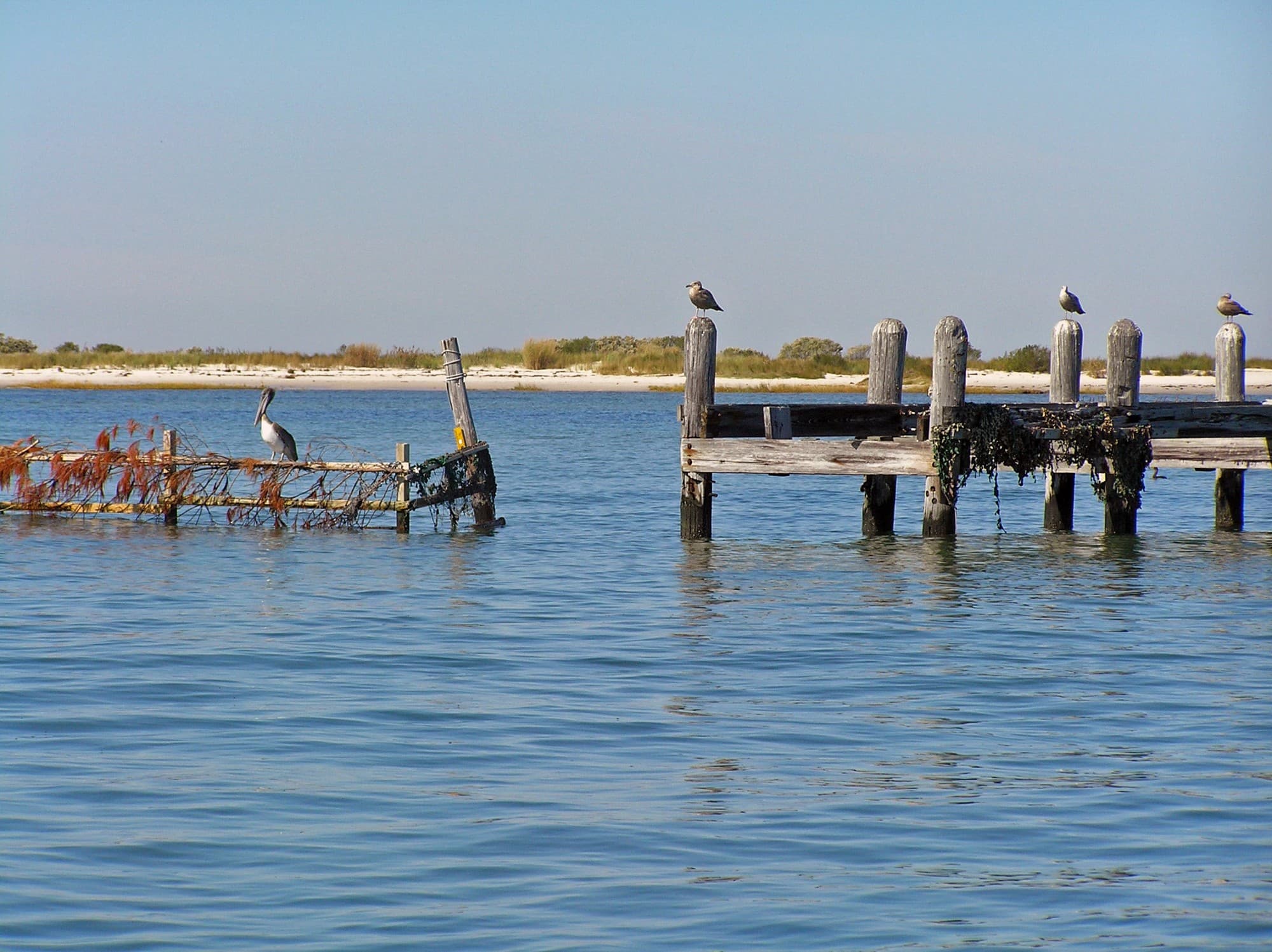 A weathered dock at Plum Tree Island National Wildlife Refuge