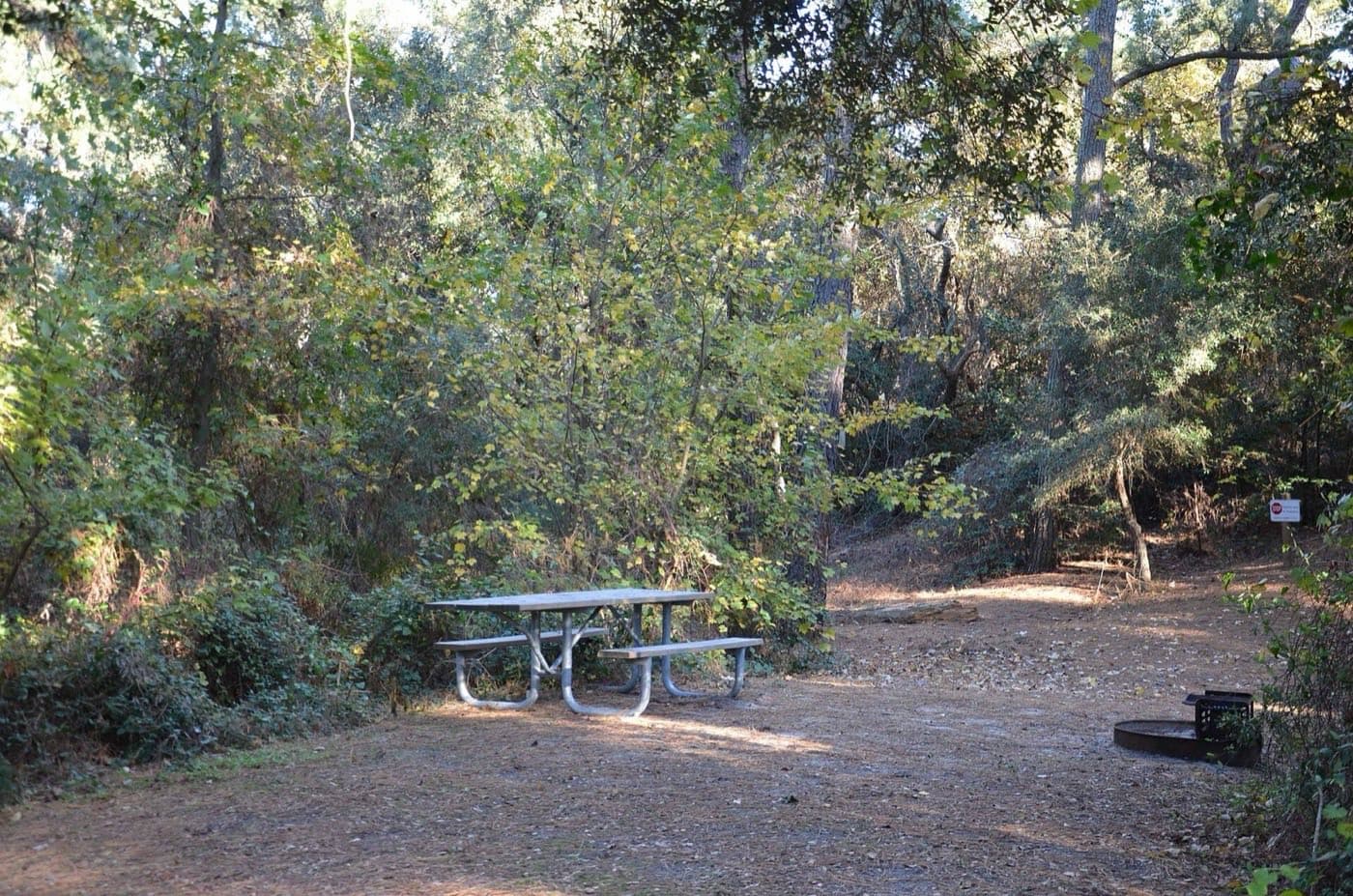 The grounds of First Landing State Park, Virginia Beach